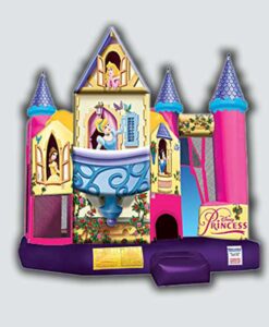 4-in-1 Disney Princess Combo