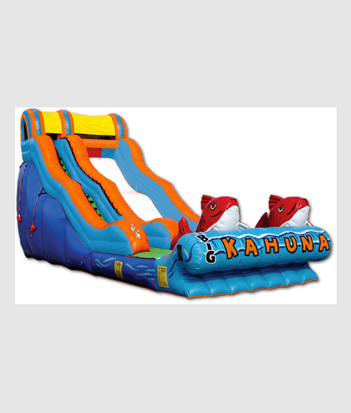 Big Kahuna Wet-Dry Slide thumbnail 2