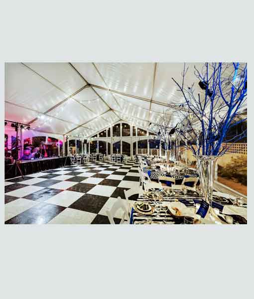 Dance Floors thumbnail 4