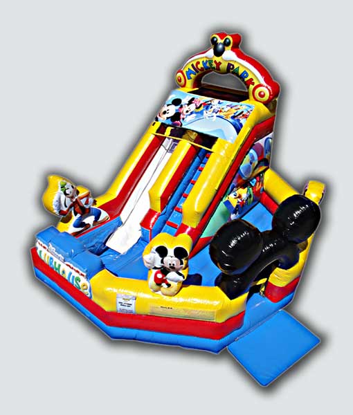 Mickey and Friends Wet/Dry Slide (Water) thumbnail 2