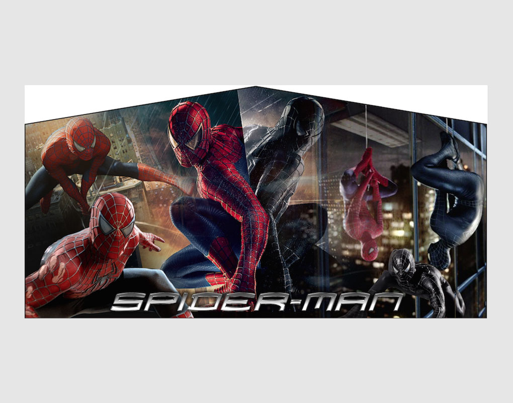 Spiderman Banner thumbnail 2