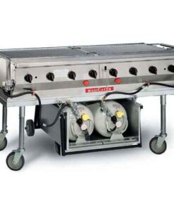 Propane Gas Barbecue Grill